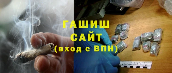 молекула духа Богородицк