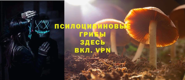 Альфа ПВП Богородск