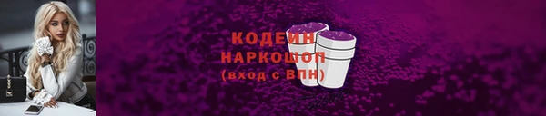 молекула духа Богородицк