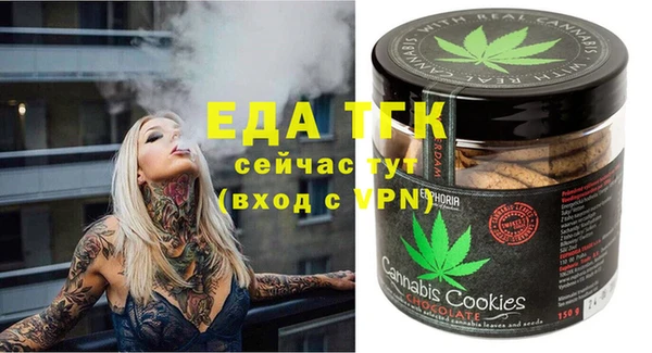 молекула духа Богородицк