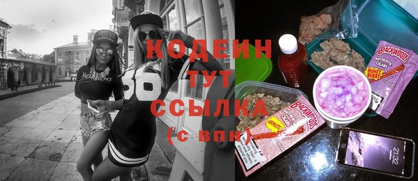 молекула духа Богородицк