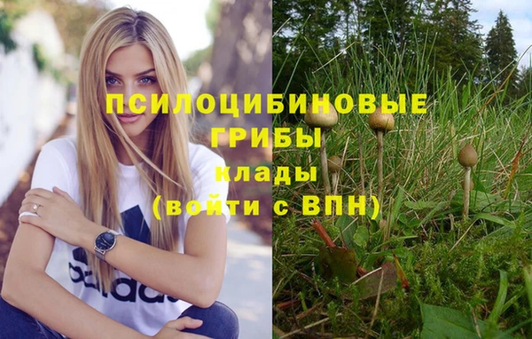 молекула духа Богородицк