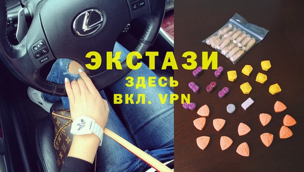 молекула духа Богородицк