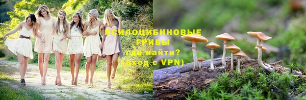 молекула духа Богородицк