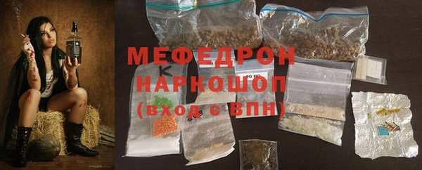 молекула духа Богородицк