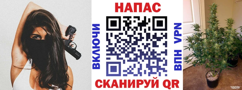 наркота  Володарск  Конопля Ganja 
